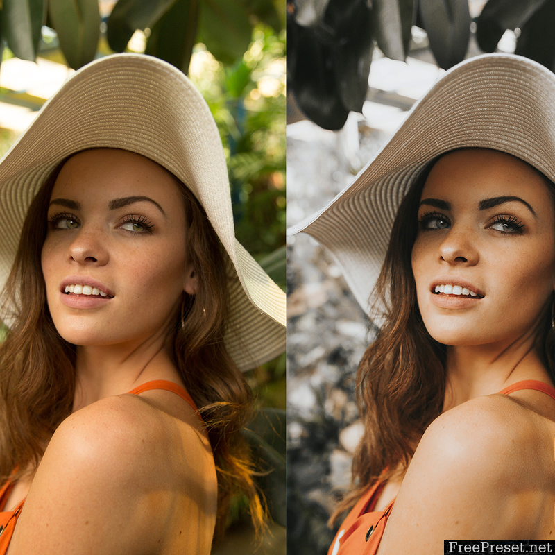 EVANOLEA PACK 01 Lightroom Presets