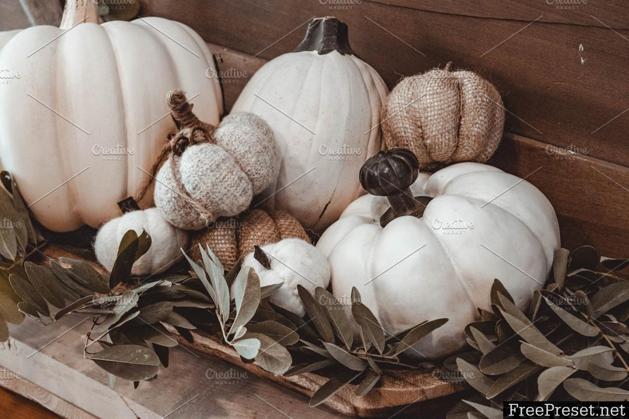 Fall Moody Stock Photo Bundle 2861630