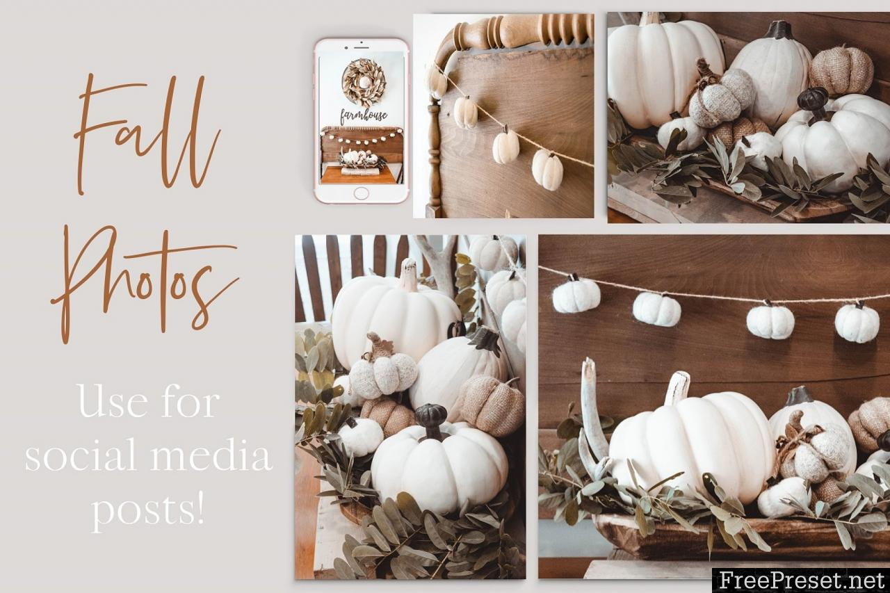 Fall Moody Stock Photo Bundle 2861630