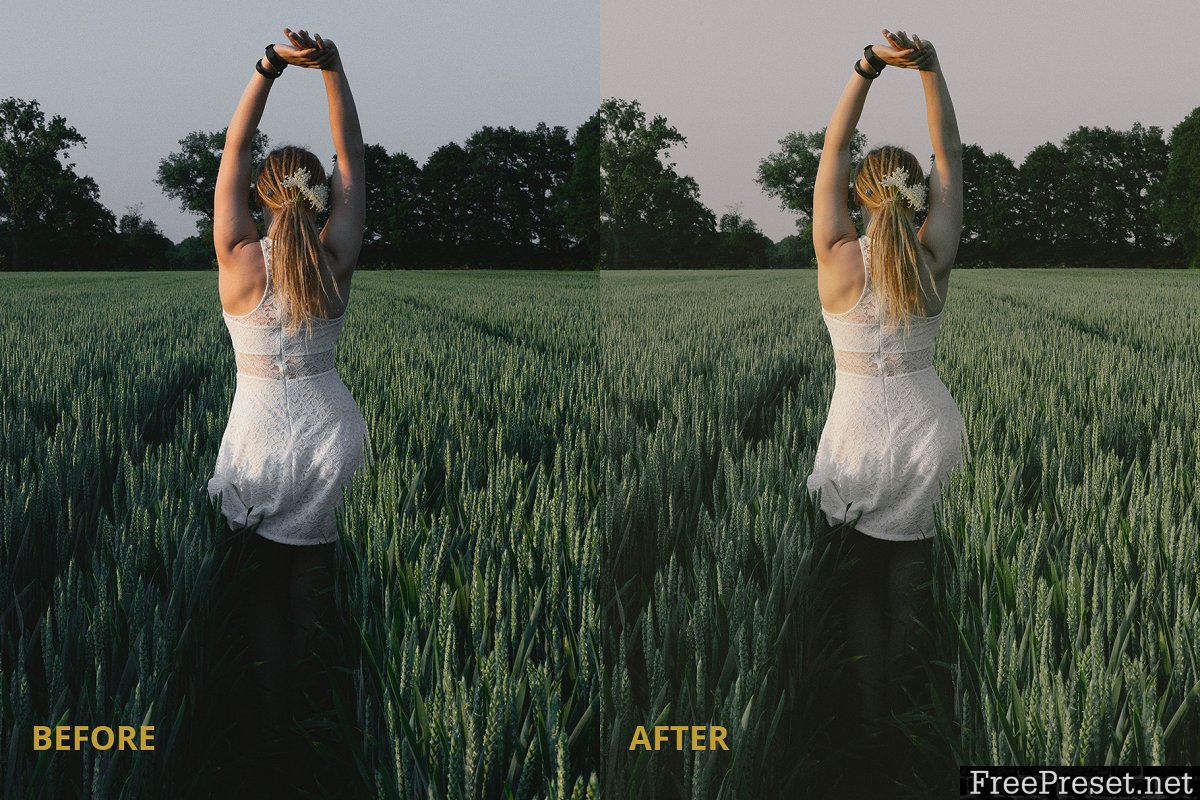 Film tone Lightroom preset 2980455