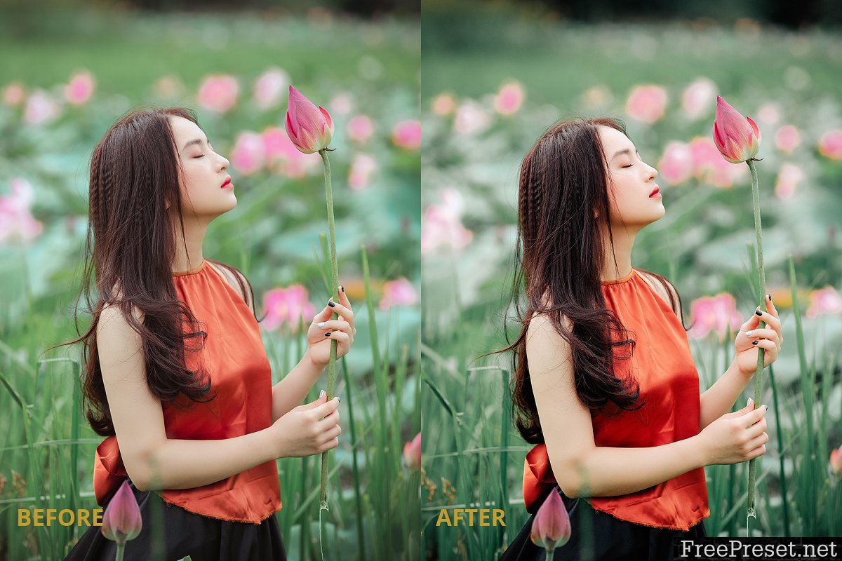 Film tone Lightroom preset 2980455