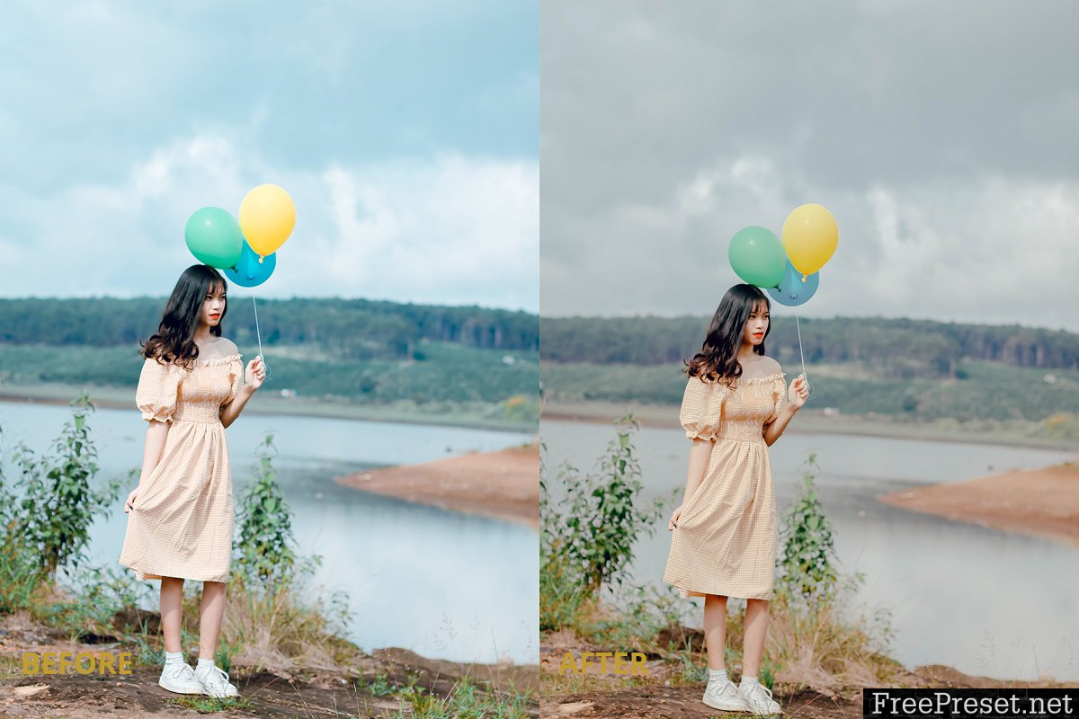 Film tone Lightroom preset 2980455