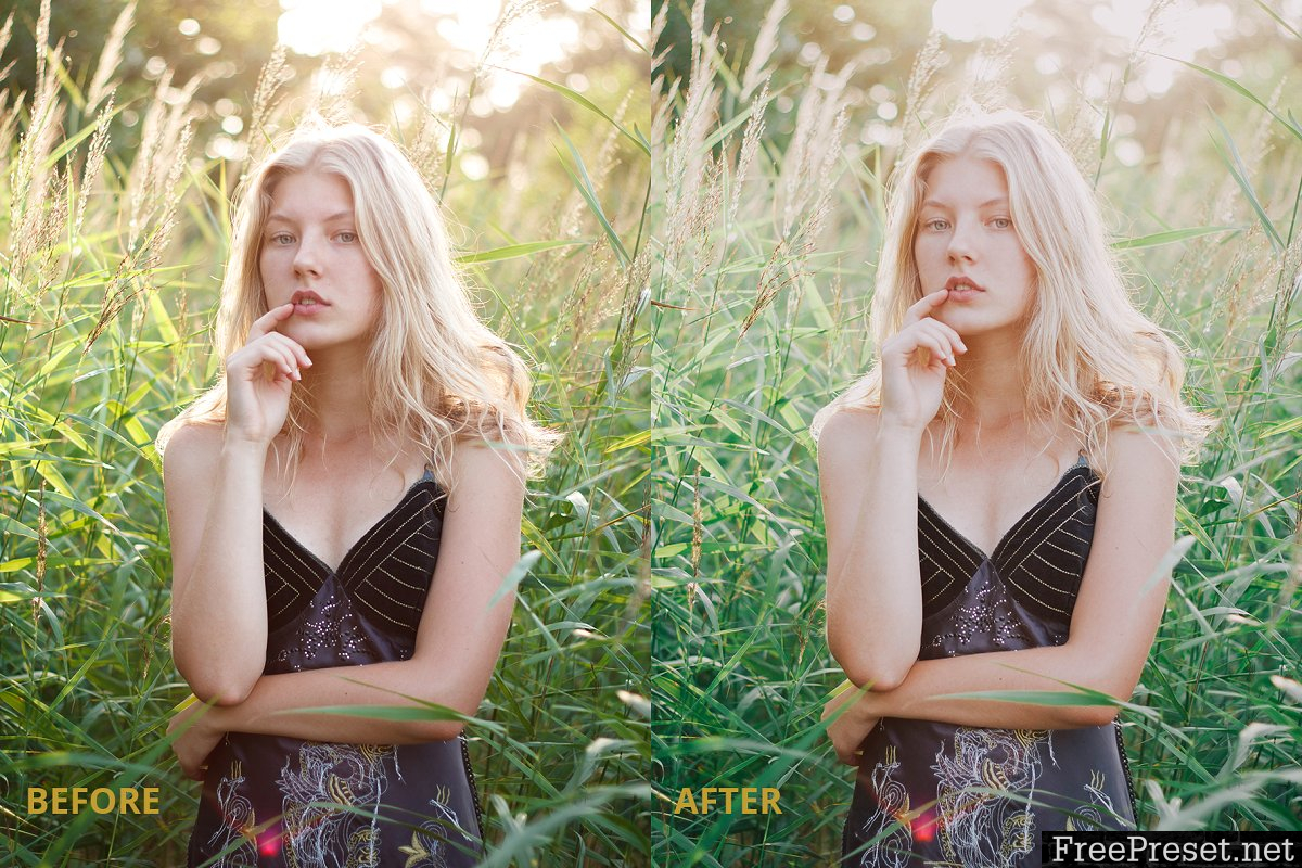 Film tone Lightroom preset 2980455