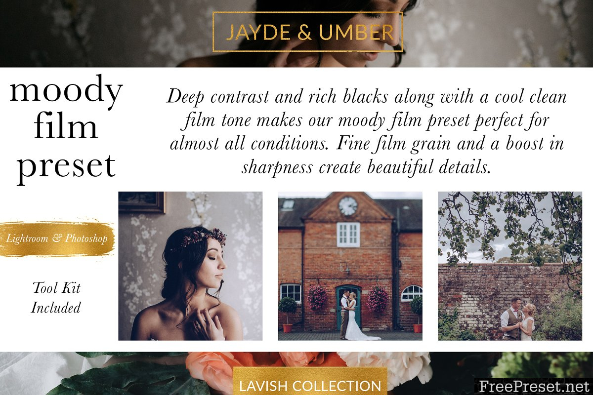 JAYDE & UMBER Photography - Moody Cool Film LR & ACR Presets