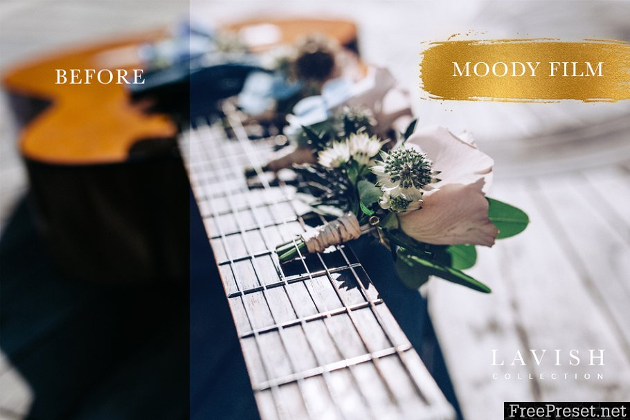 JAYDE & UMBER Photography - Moody Cool Film LR & ACR Presets