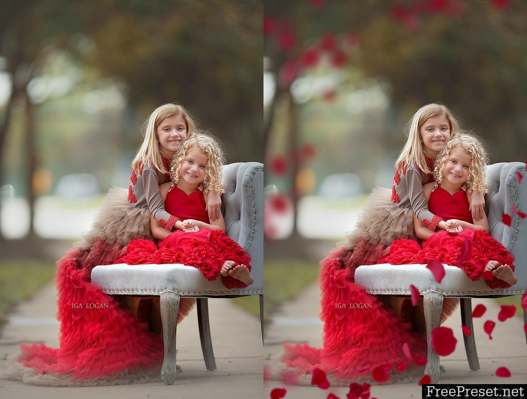 Kimla Designs - Red Rose Petals Photo Overlays