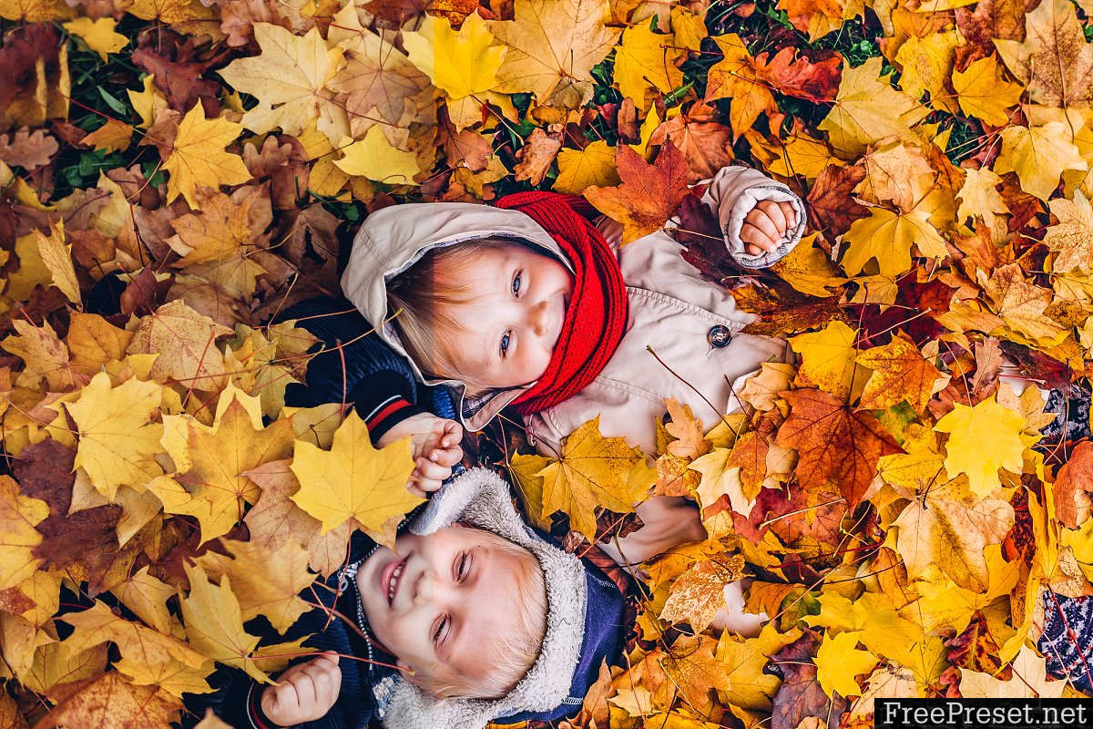 LOU & MARKS - AUTUMN DESKTOP PRESETS