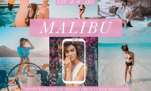 Malibu Blogger Mobile Presets 2961894