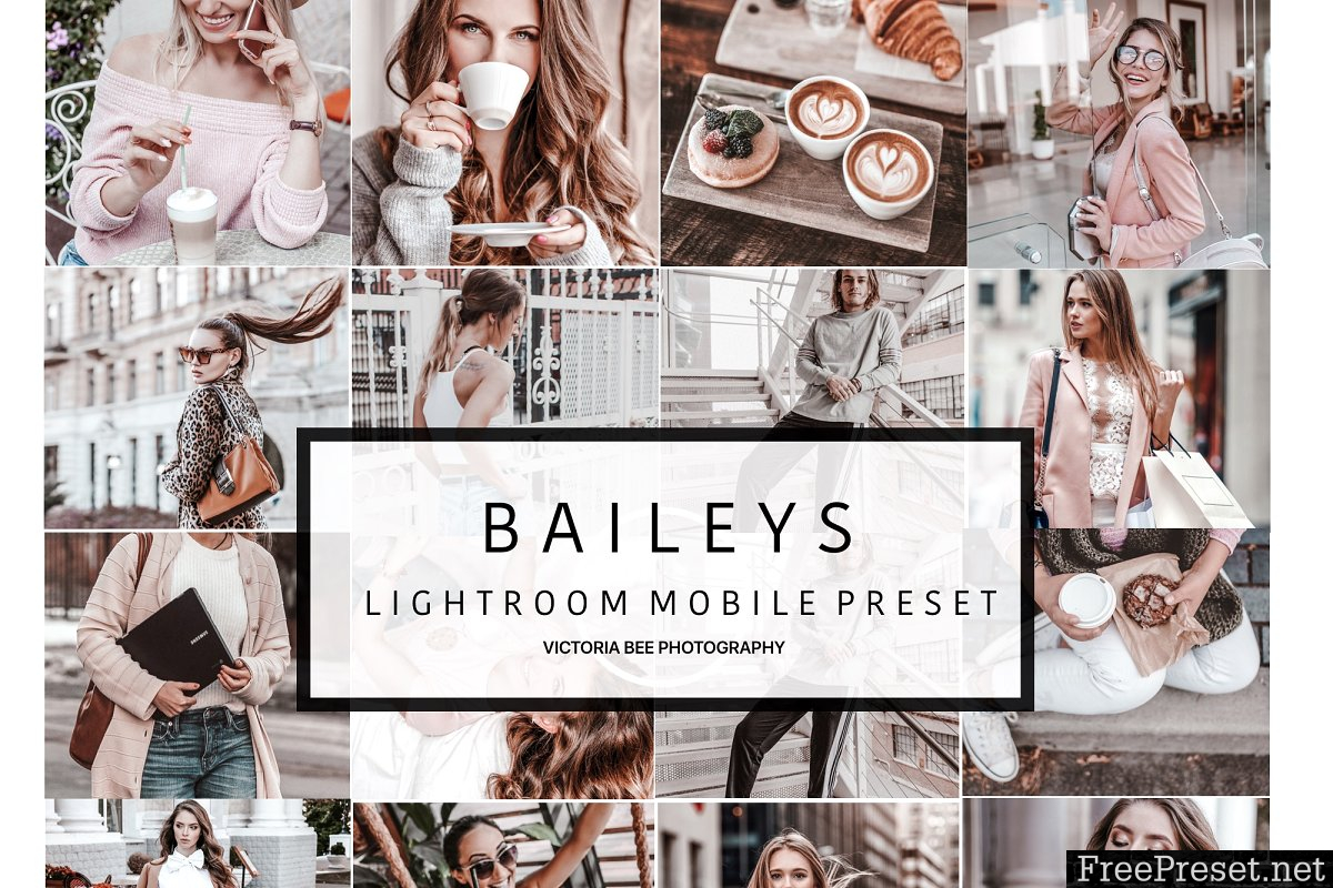 Mobile Lightroom Preset BAILEYS 3308168