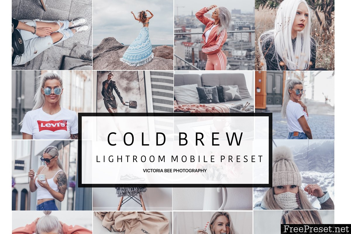 Mobile Lightroom Preset COLD BREW 3529414