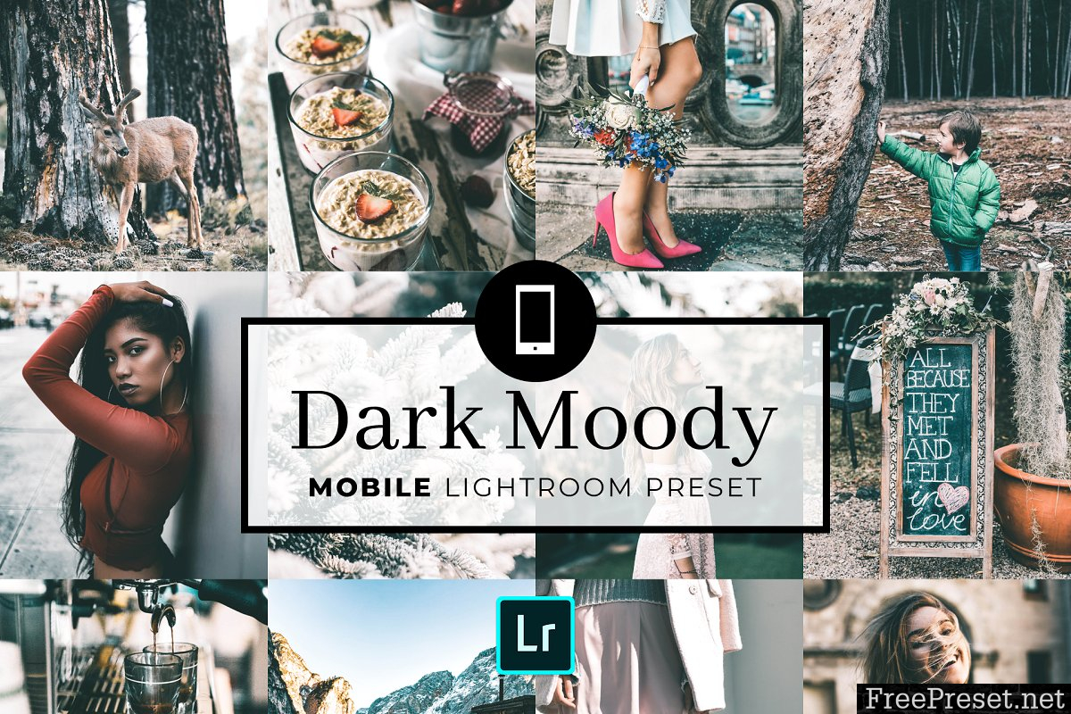 Mobile Lightroom Preset Dark Moody 3320008