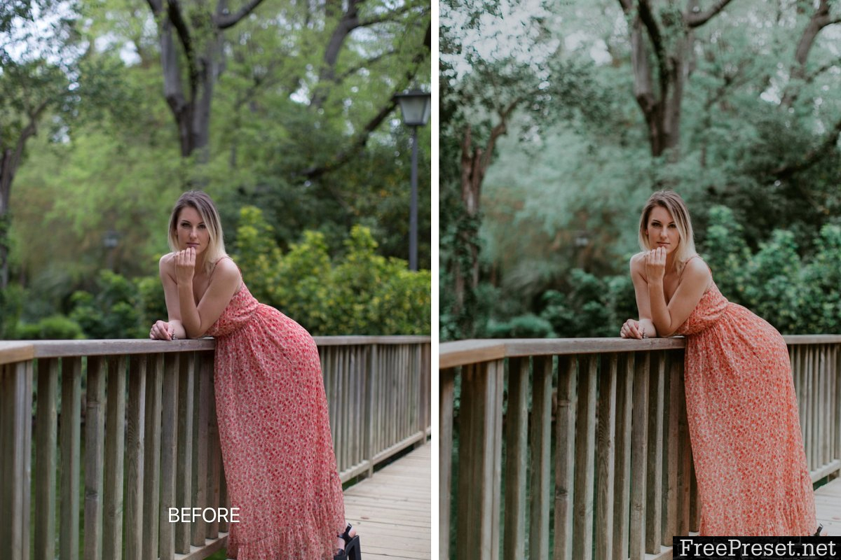 Mobile Lightroom Preset LUNGO 3089153