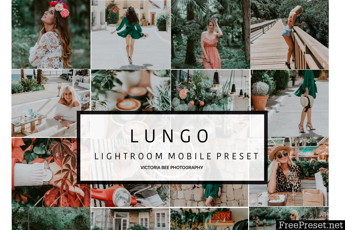 Mobile Lightroom Preset LUNGO 3089153