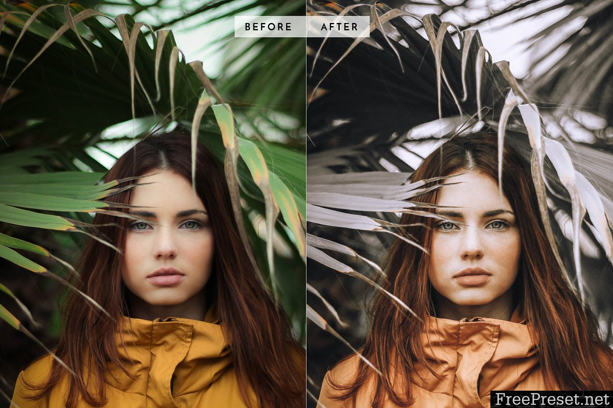 Mobile Lightroom Preset OrangeGray2 3320045