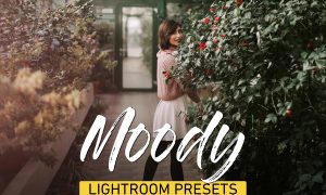 Moody Lightroom Presets Bundle 3320760