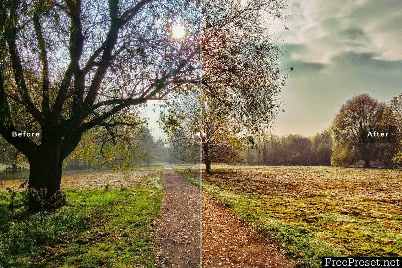 Nature Mobile & Desktop Lightroom Presets Collection 228461