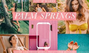 Palm Springs Mobile Blogger Presets 2961883