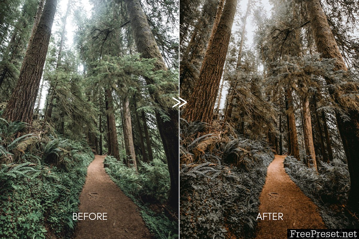 PINE Warm Moody Lightroom Presets 3335215