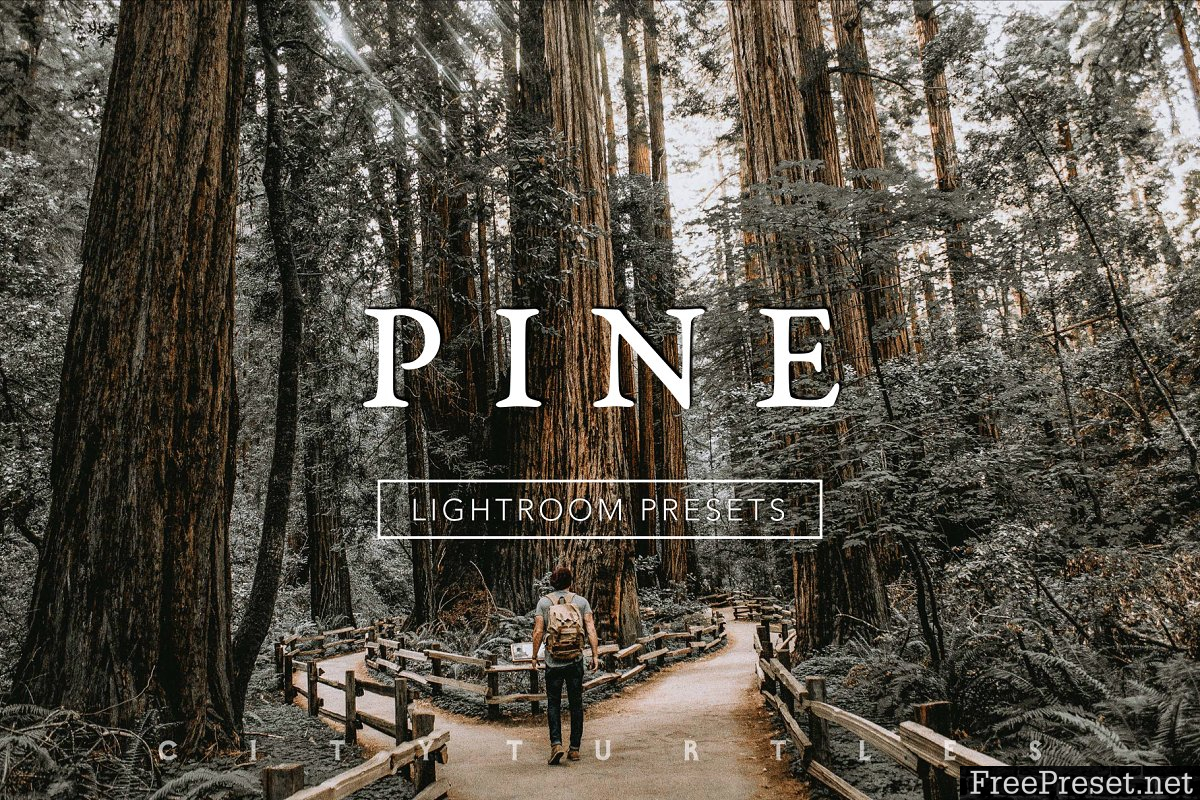 PINE Warm Moody Lightroom Presets 3335215