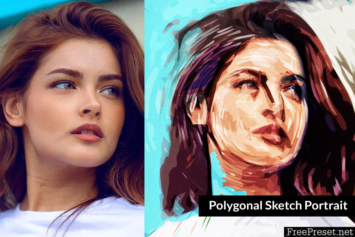 Polygonal Sketch Portrait 3383452