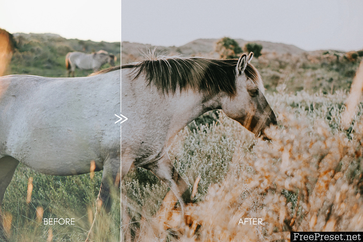 RUSTIC Moody Film Lightroom Presets Collection