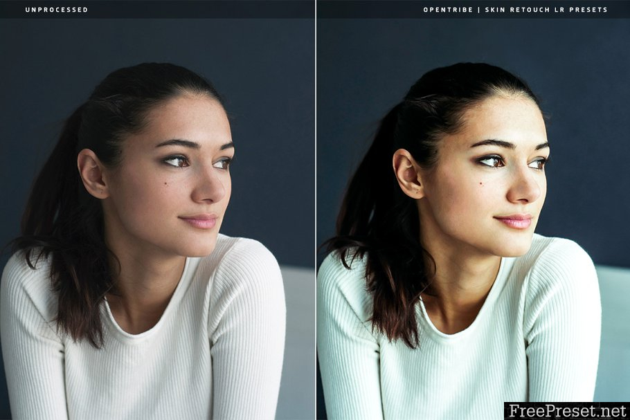 Skin Retouch LR Presets 3408698