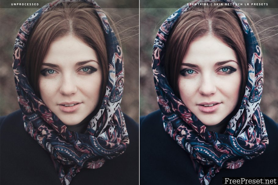 Skin Retouch LR Presets 3408698