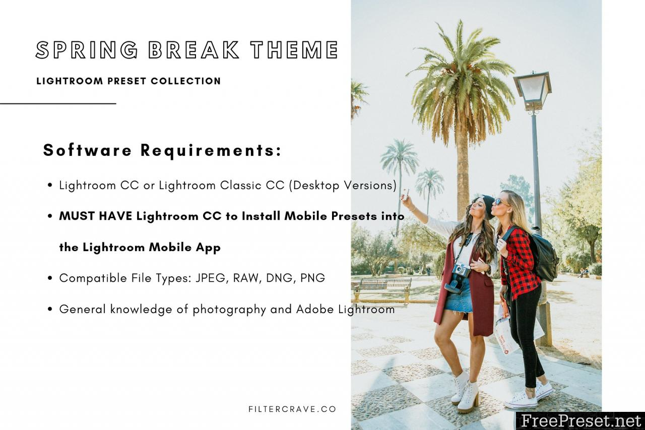 Spring Break Mobile Lightroom Preset 3505966