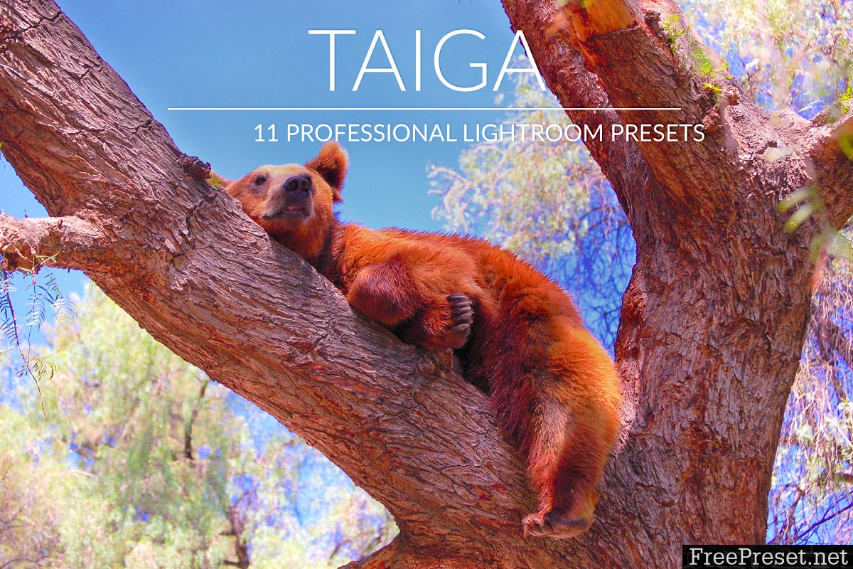 Taiga Lr Presets 2987778