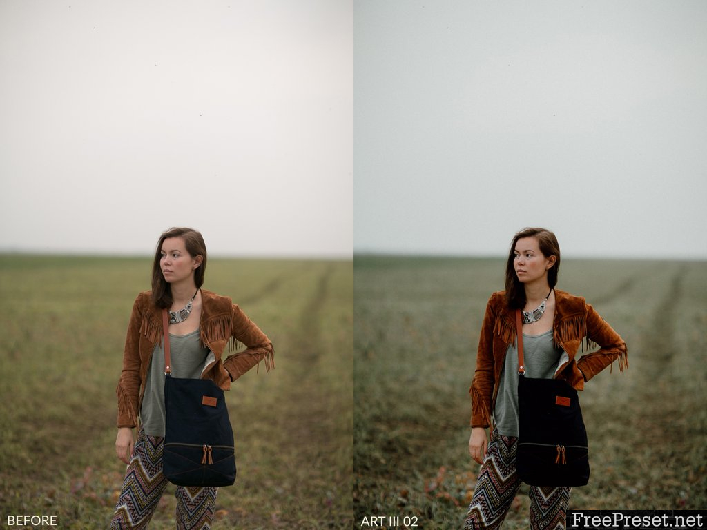 Vivid Presets - ART III COLLECTION Lightroom & ACR Presets