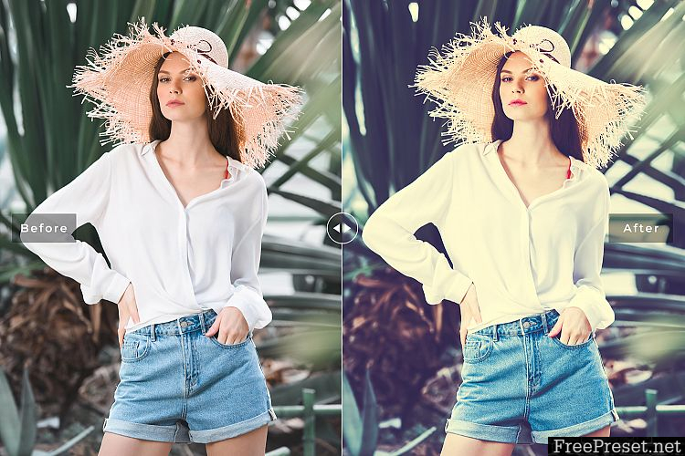 Vogue Lightroom Presets Collection 3581776