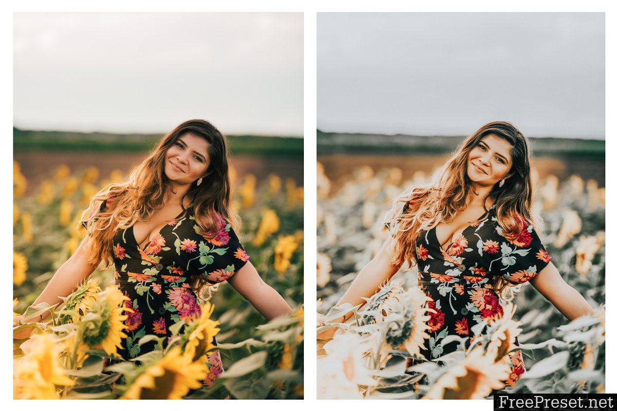 Wanderlust Blogger Presets 2837946