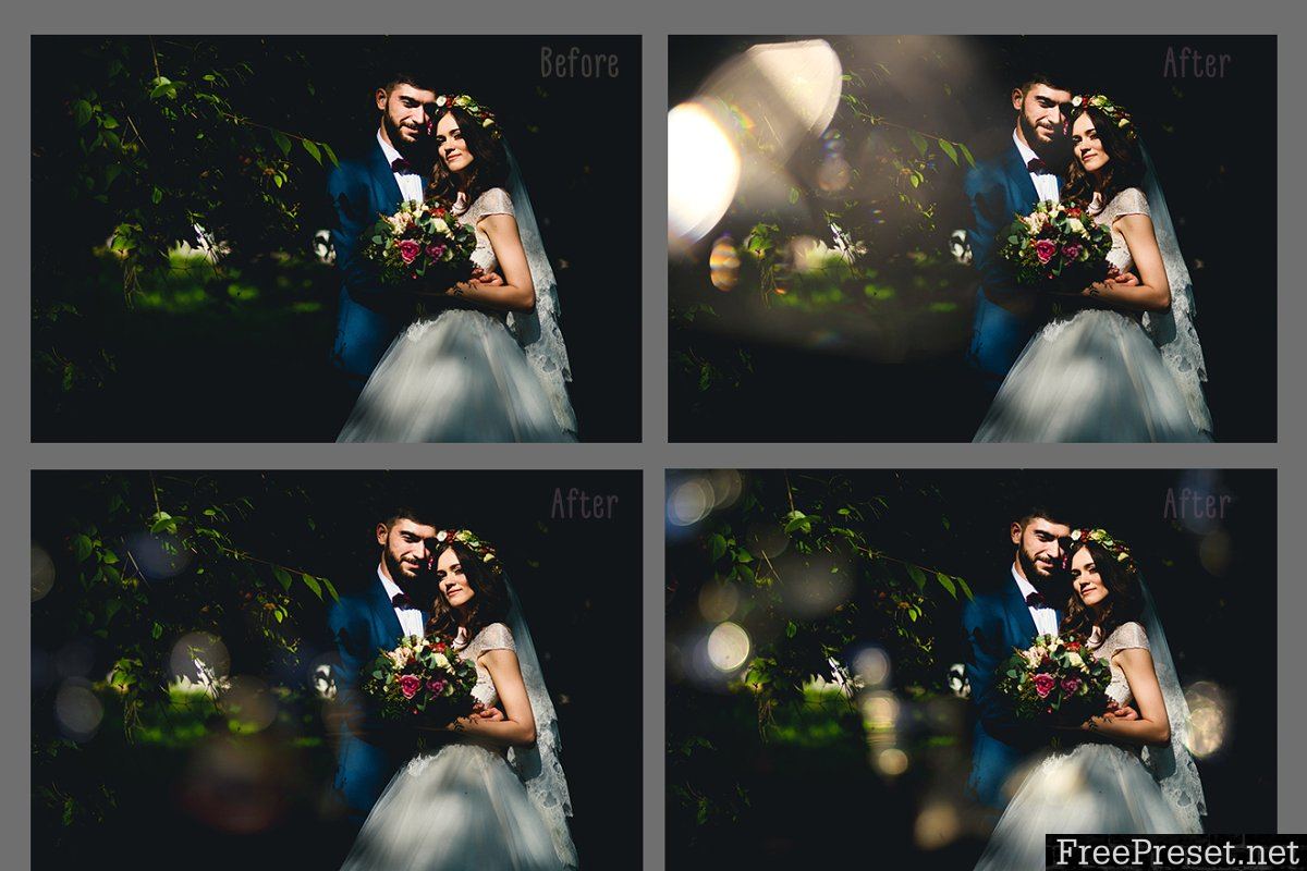 Wedding Art Bokeh Photo Overlays 1520527