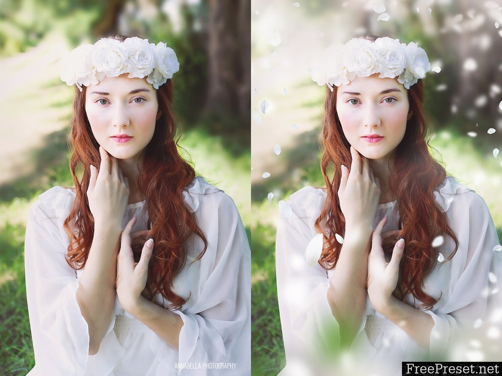 White Blossom Photoshop Overlays 2266575