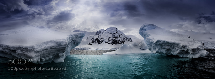 Photograph Antarctica Half Moon Island by Michael Leggero on 500px