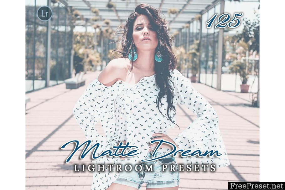 125 Matte Dream Lightroom Presets 3218825