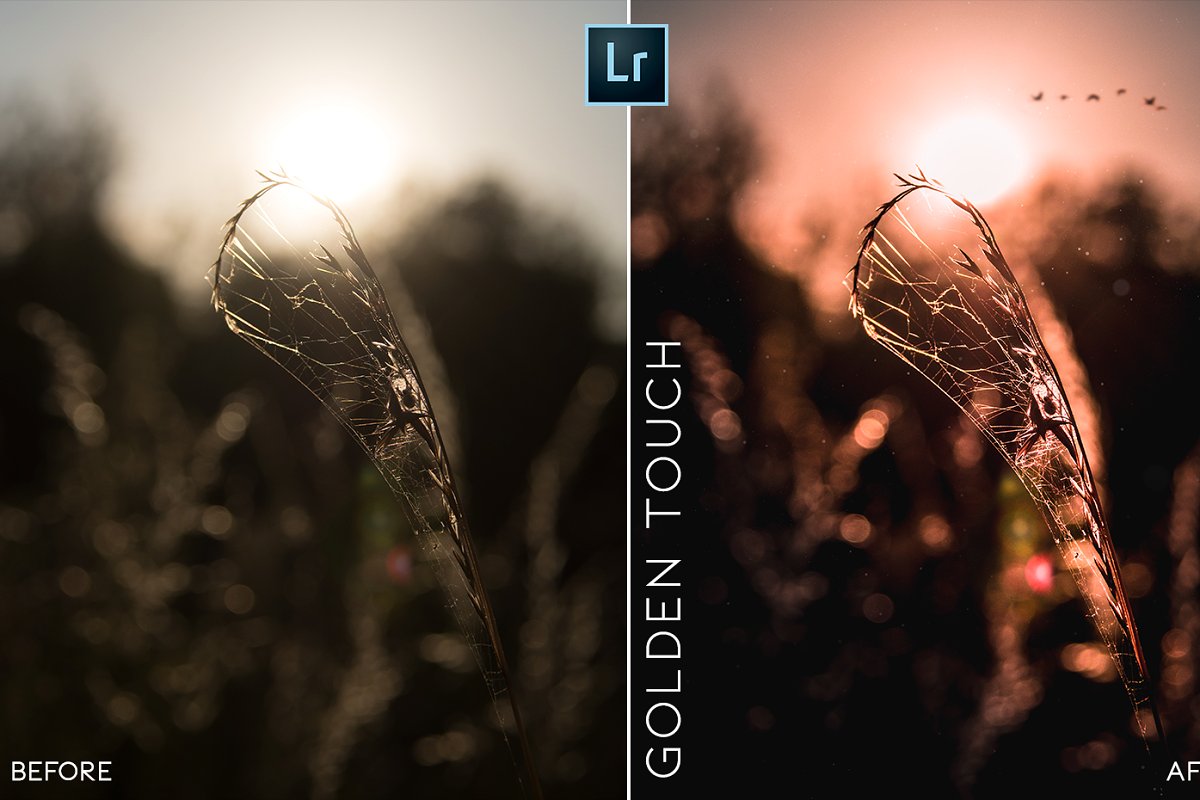 15 Mobile + PC Lightroom Presets 3676604