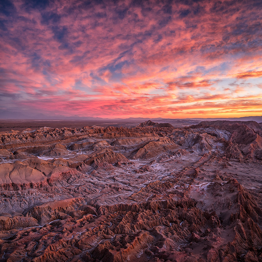 ATACAMA SUNSET by Ignacio Palacios on 500px.com