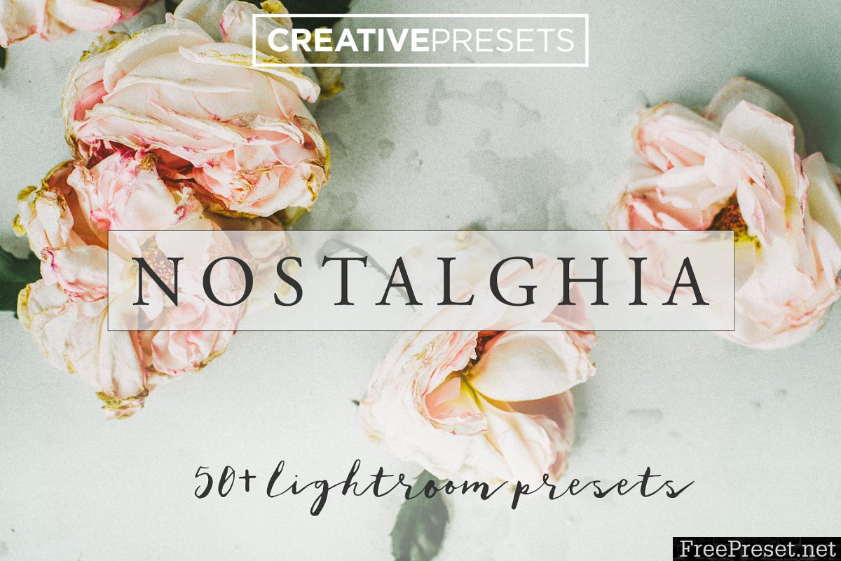 50+ Vintage Lightroom Presets 2554644