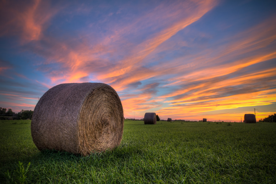 Woodland Bales by Brad Telker on 500px.com