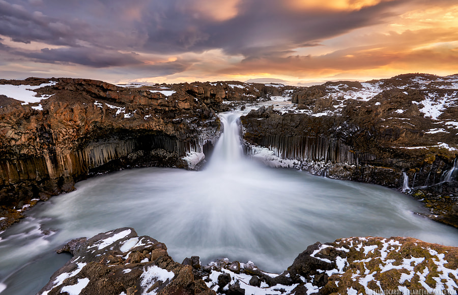 Winters Grasp by Elia Locardi on 500px.com