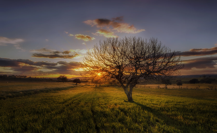 Shadowland by Pedro Quintela on 500px.com