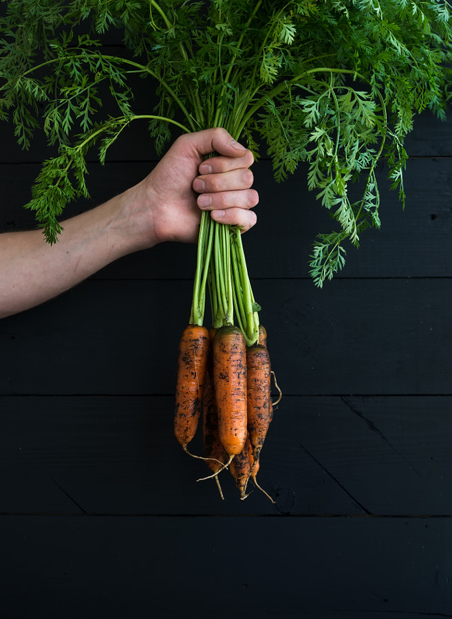 Bunch of fresh garden carrots with green leaves in the hand, black wooden backdrop by Anna Ivanova on 500px.com