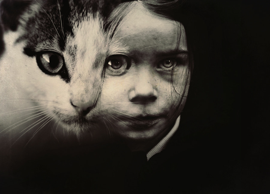 Morphosis by Felicia Simion on 500px.com