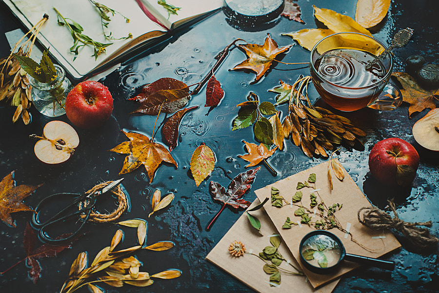 Autumn inside by Dina Belenko on 500px.com