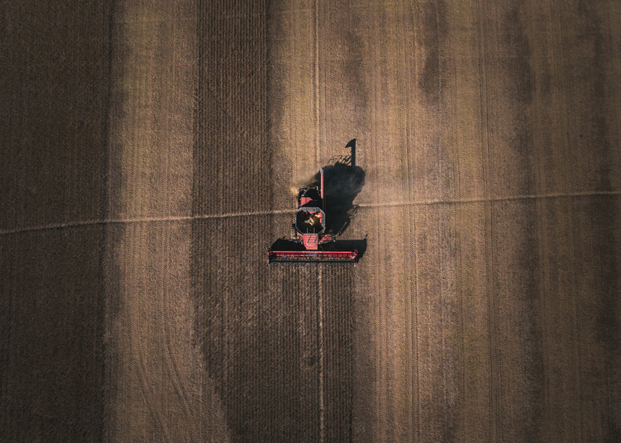 Harvest by Michael Tighe on 500px.com