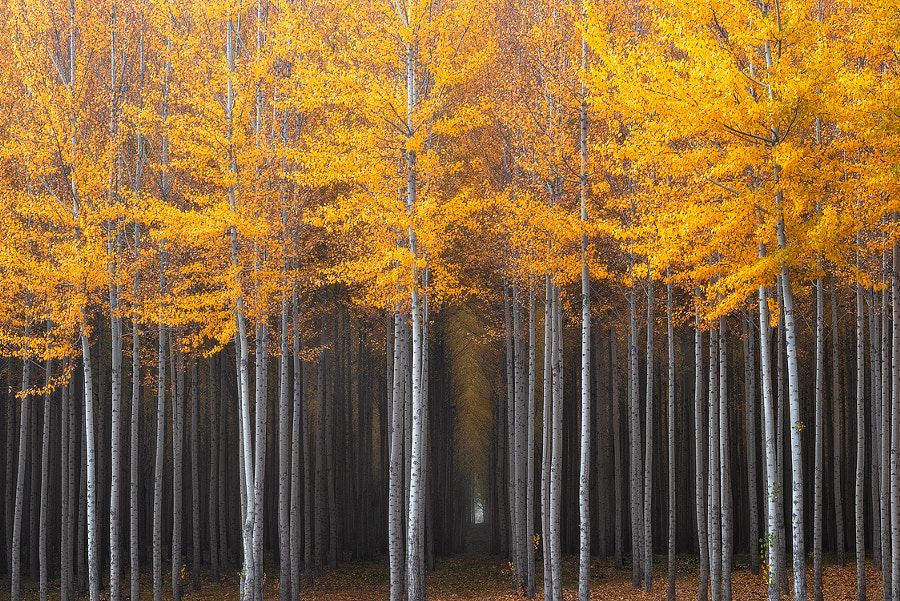 Mysterious Hallway by David Thompson on 500px.com