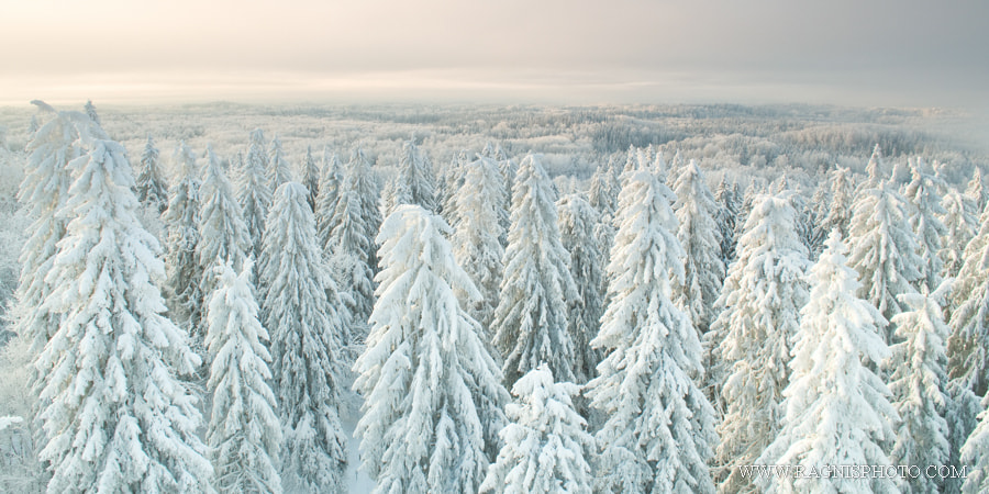 On the roof of Estonia by Ragnis Pärnmets on 500px.com