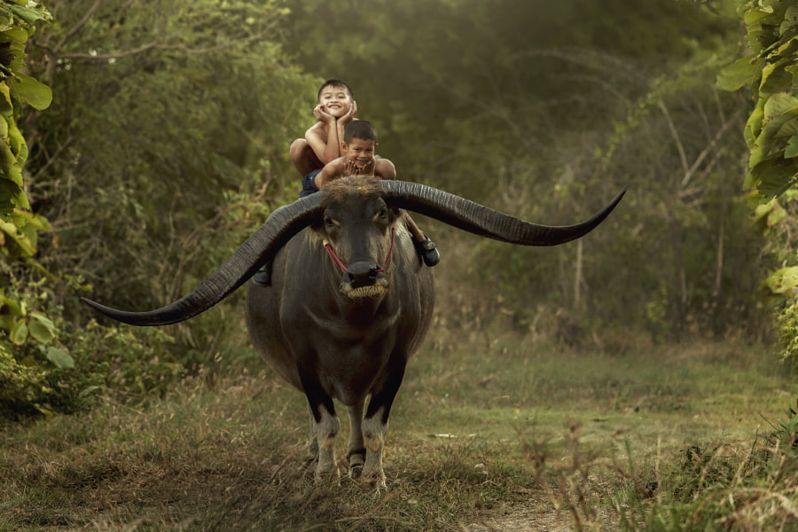 Elysium by Jakkree Thampitakkul on 500px.com