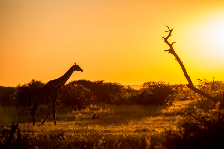 Time to go by Alexis Goubert on 500px.com